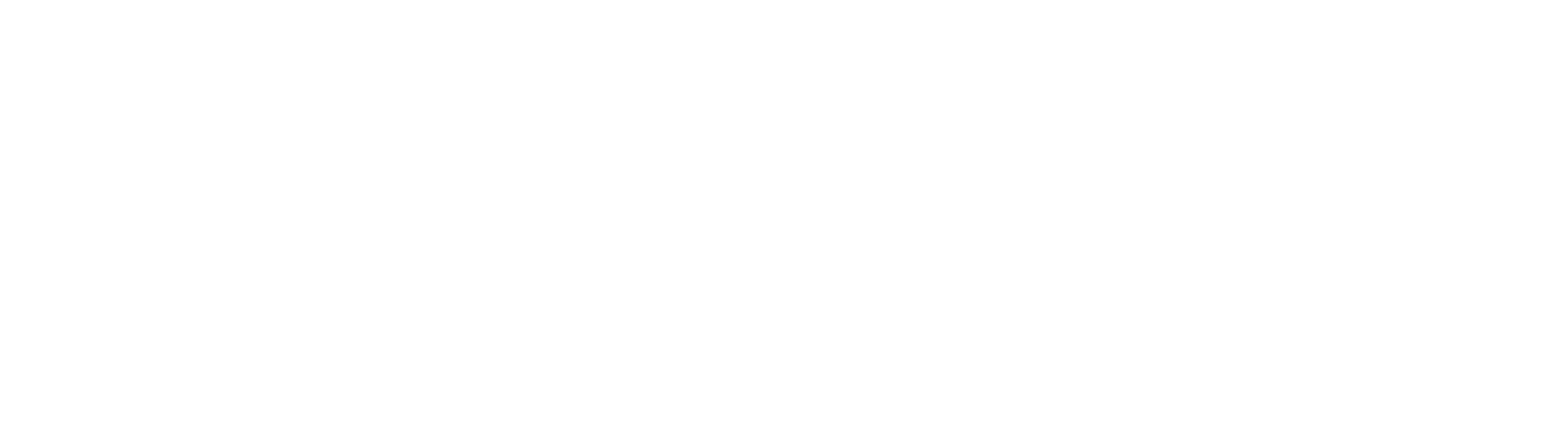 凋叶棕 20th Anniversary ライブ『祭』